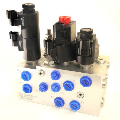 OEM-Hydraulische Magnetventilbank mit mehrfacher Parallelventilgruppe